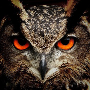 Виктор Левичев