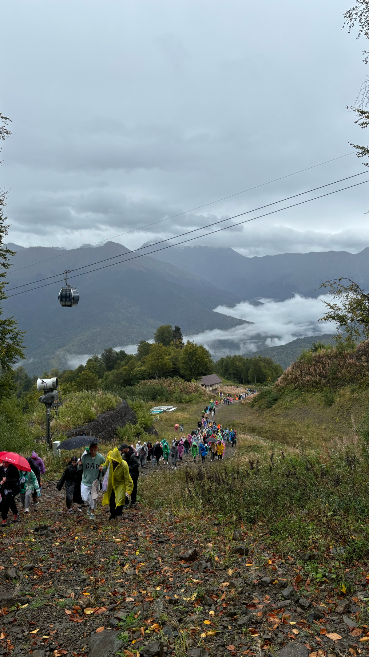 Я работаю менеджером по развитию бренда работодателя и я обожаю то, чем занимаюсь ❤️  
моя крутая работа позволяет мне постоянно развиваться (и развивать!) и учиться новому | Сетка — социальная сеть от hh.ru