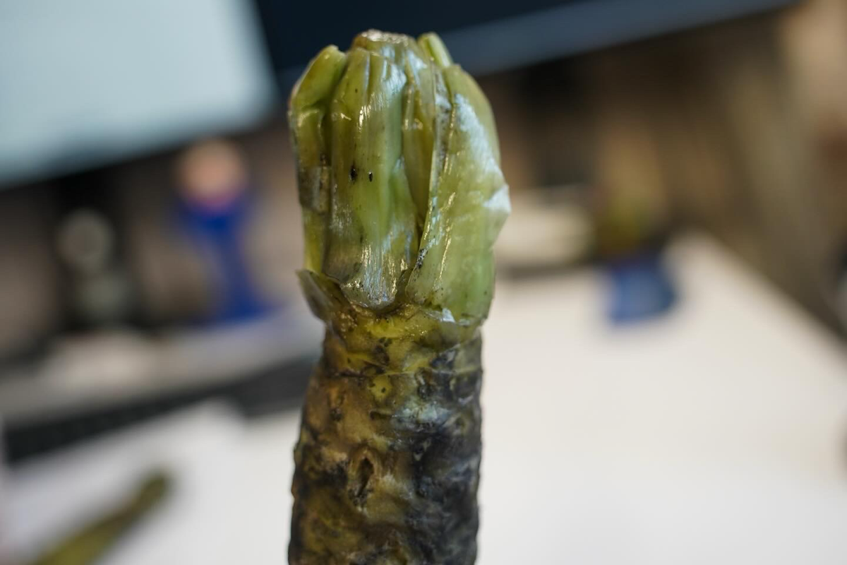 Немного негодования | Сетка — социальная сеть от hh.ru