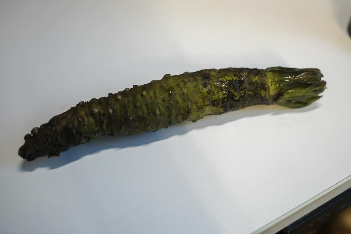 Немного негодования | Сетка — социальная сеть от hh.ru