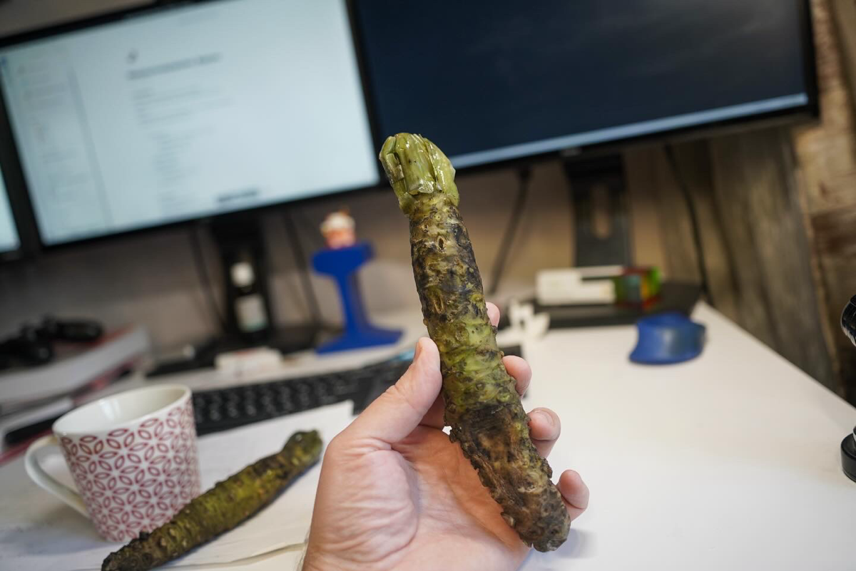 Немного негодования | Сетка — социальная сеть от hh.ru