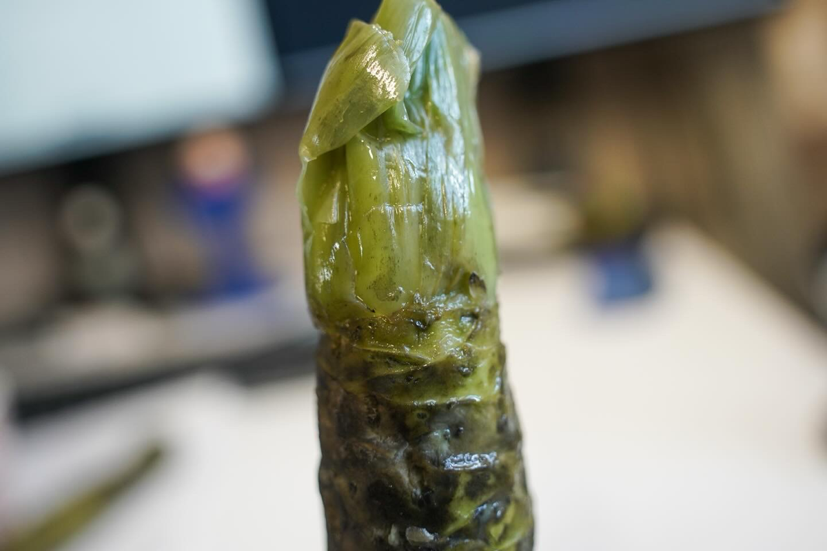 Немного негодования | Сетка — социальная сеть от hh.ru