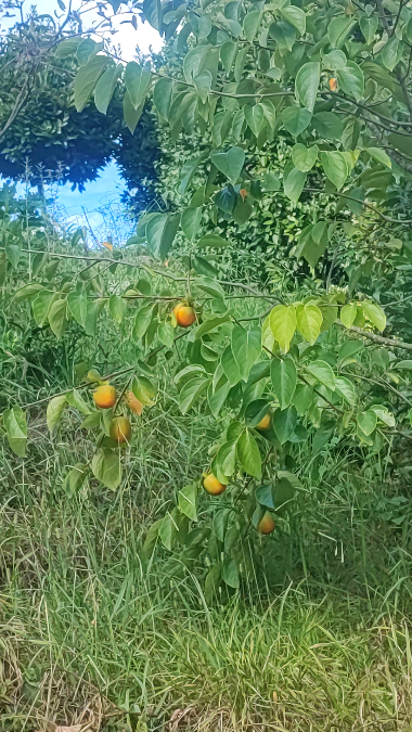 Мне нравятся бесконечные дороги в Сочи... Видно, откуда пришел, но не весь путь ...
Виден следующий шаг, но не весь путь...
Всегда есть возможность повернуть назад, но ты продолжаешь идти | Сетка — социальная сеть от hh.ru