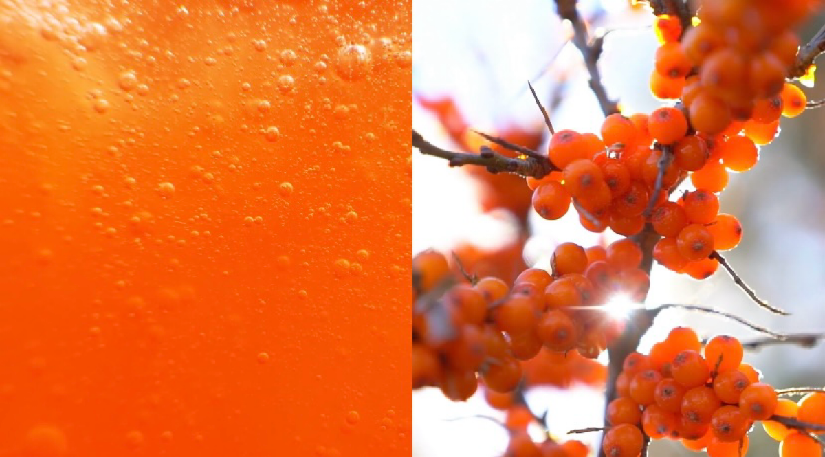 Подходит к концу голосование в конкурсе ArtMasters
https://clck | Сетка — социальная сеть от hh.ru