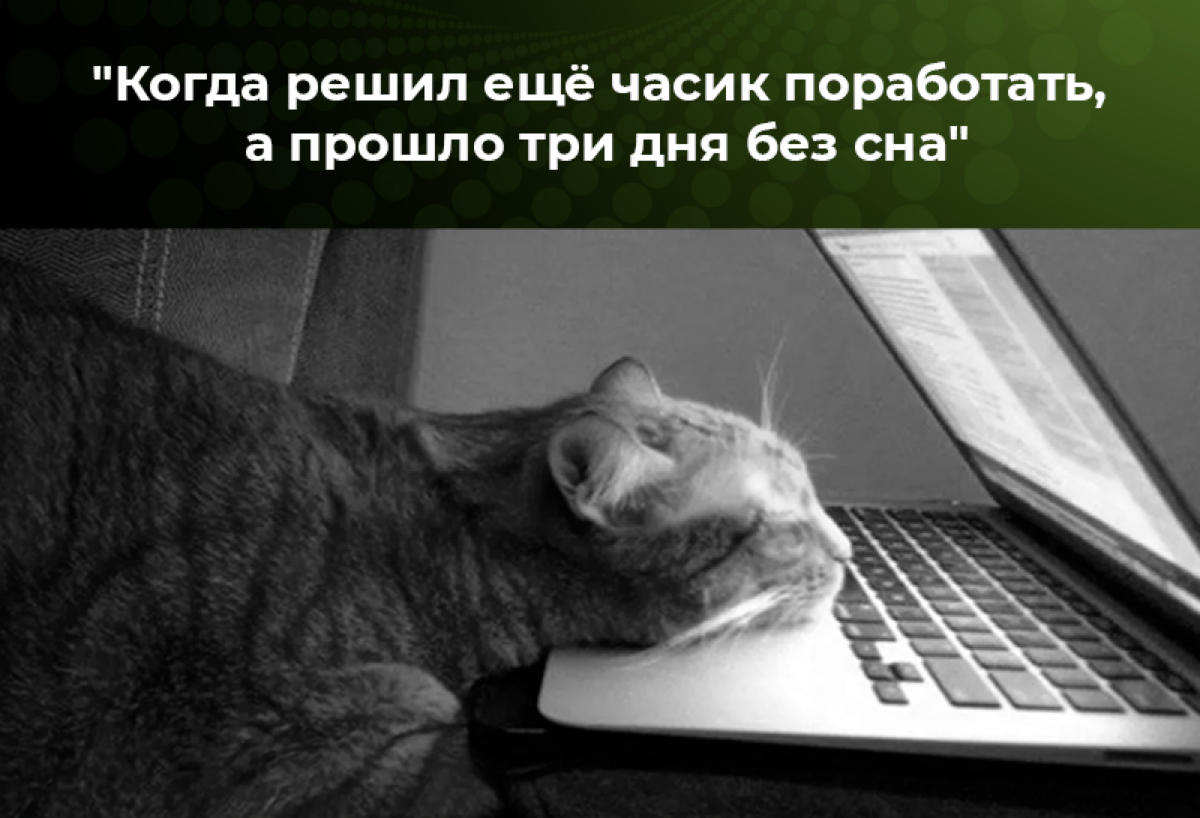 Дисциплина отдыха на фрилансе: зачем это нужно, если ты всё равно дома?
Фриланс — это, конечно, круто. Сам себе начальник, сам себе распорядок дня | Сетка — социальная сеть от hh.ru