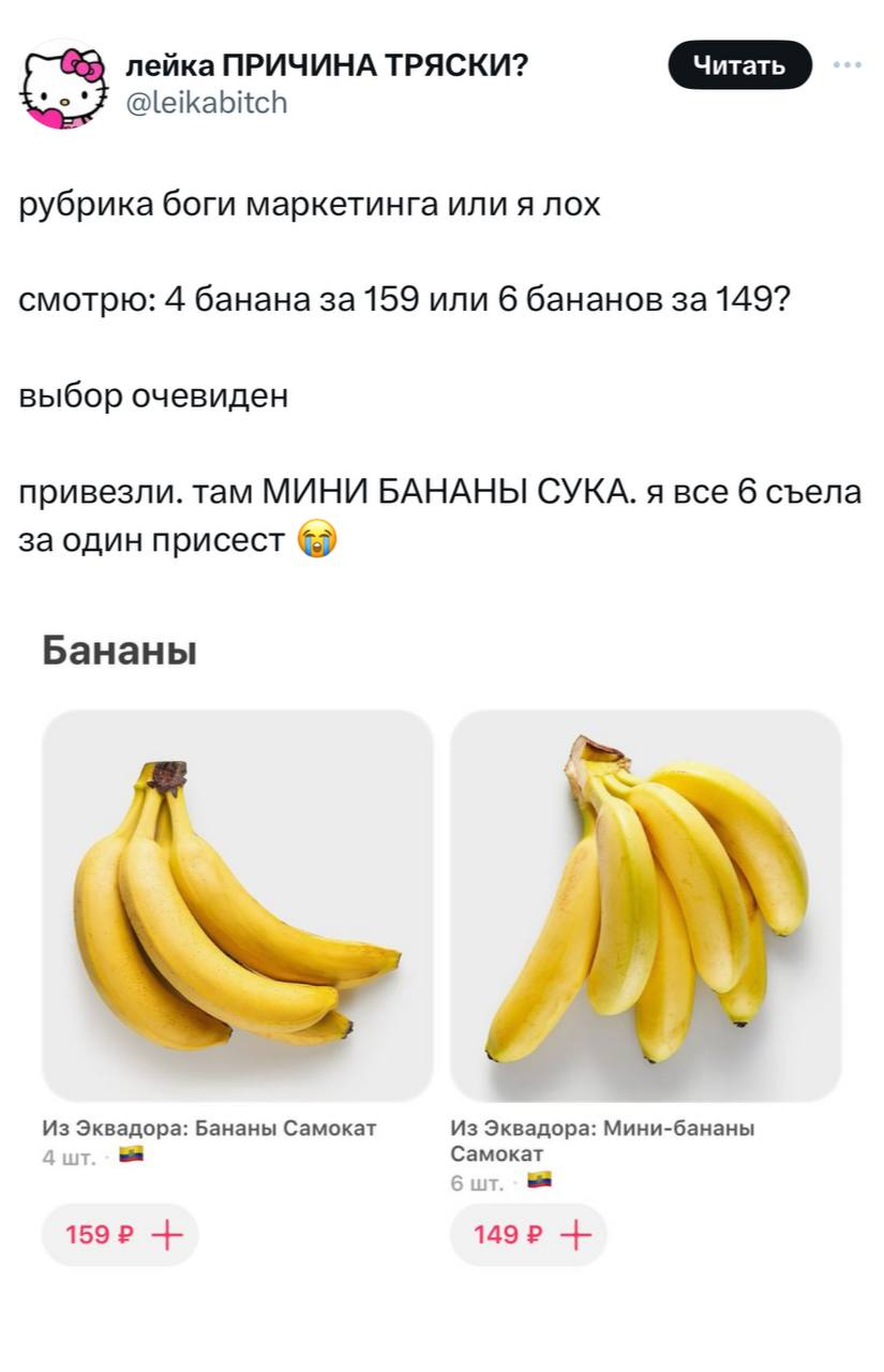 Зумерша попалась в ловушку Самоката
🍕зумеры в телеграм | Сетка — социальная сеть от hh.ru