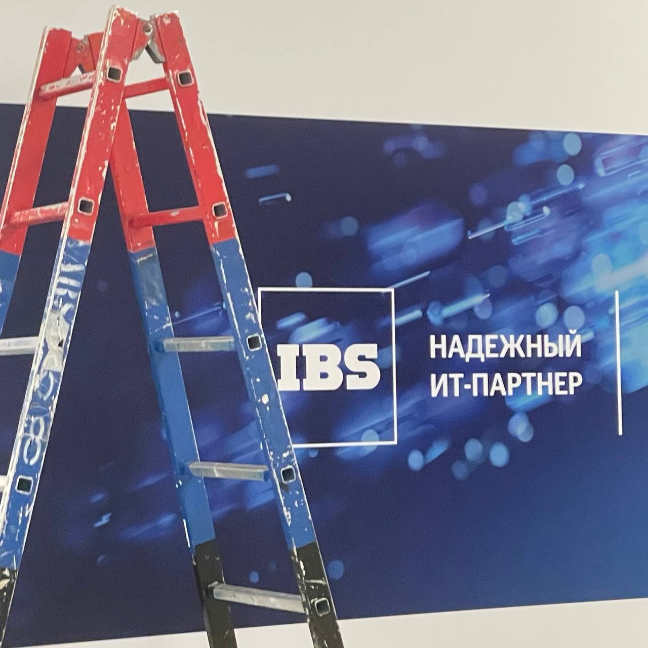 Вайб - день до форума | Сетка — социальная сеть от hh.ru