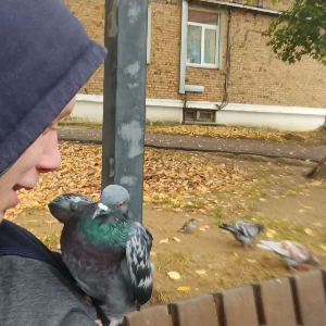 Николай Лютоев