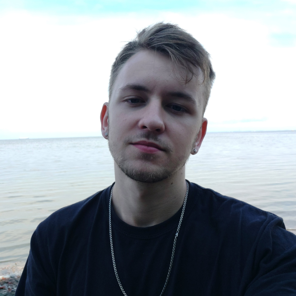 Владимир Чечкин