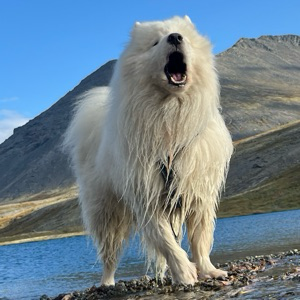 Денис Чурсин | Сетка — социальная сеть от hh.ru