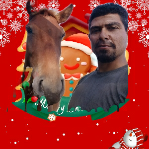 Махмад Сидиков | Сетка — социальная сеть от hh.ru