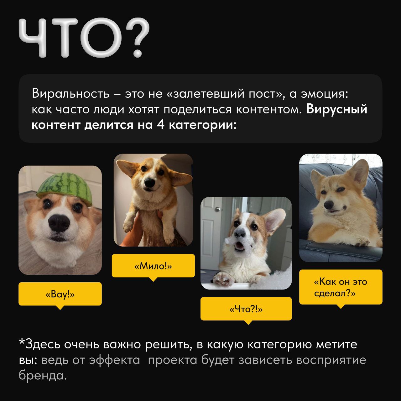 🦝Хотите, чтобы ваш контент завирусился? Сейчас научим, как!
Хотя виральность бывает очень разная, ее все равно хотят все | Сетка — социальная сеть от hh.ru