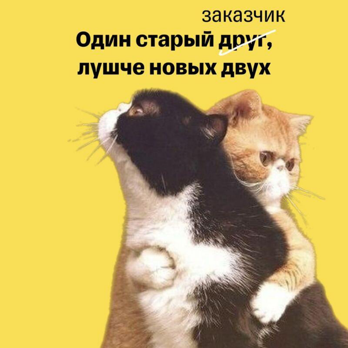 В ходе интенсивной разработки новых процессов на проектах, очень легко забыть про пользователей, для которых ранее разрабатывались инструменты | Сетка — социальная сеть от hh.ru
