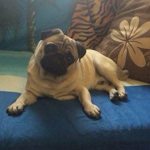 Ольга Ситникова