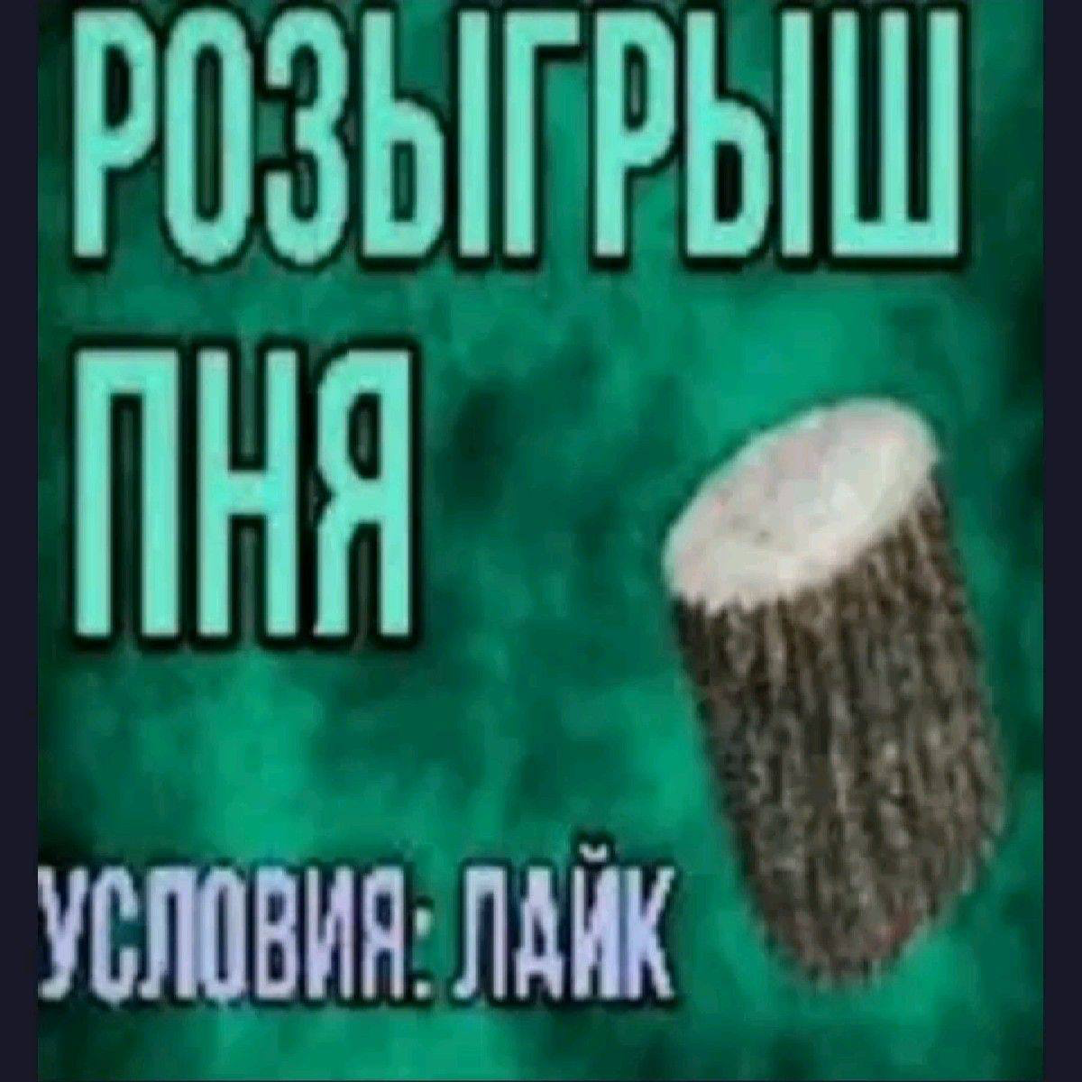 А как тут получают охваты?
Возможно, у нас недостаточно интересный контент, но 3 просмотра на пост…. | Сетка — социальная сеть от hh.ru