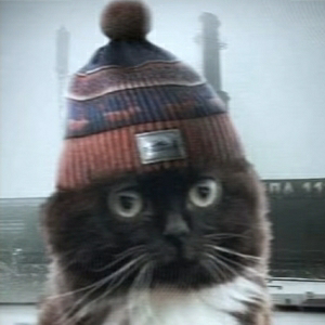 Дмитрий Латников