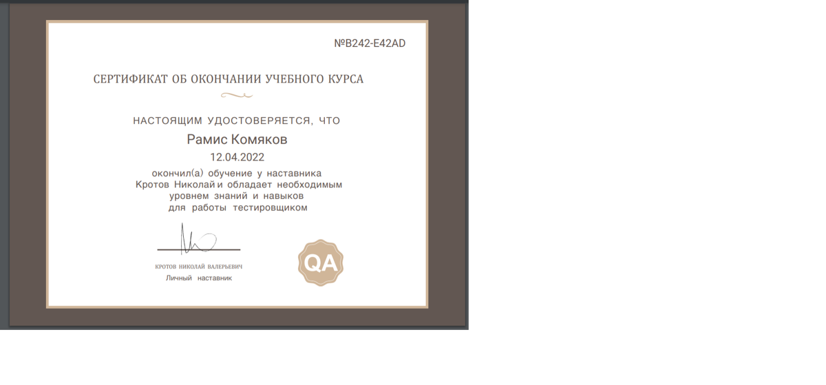 Рамис Комяков | Сетка — социальная сеть от hh.ru