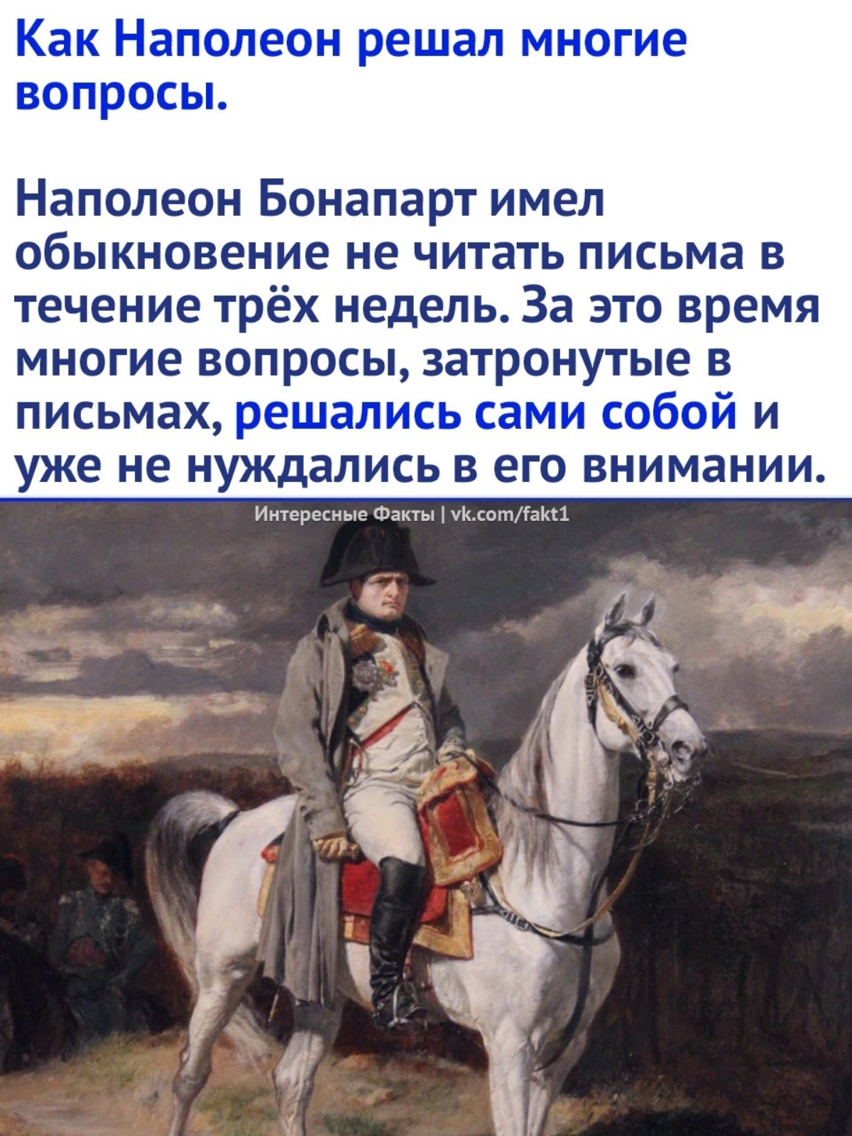 Все мы немного Наполеон | Сетка — социальная сеть от hh.ru