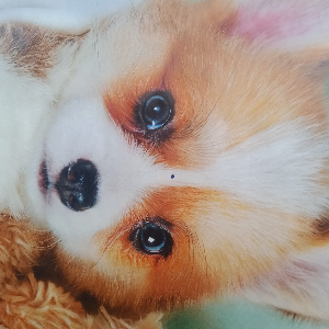 Михаил Иванов | Сетка — социальная сеть от hh.ru