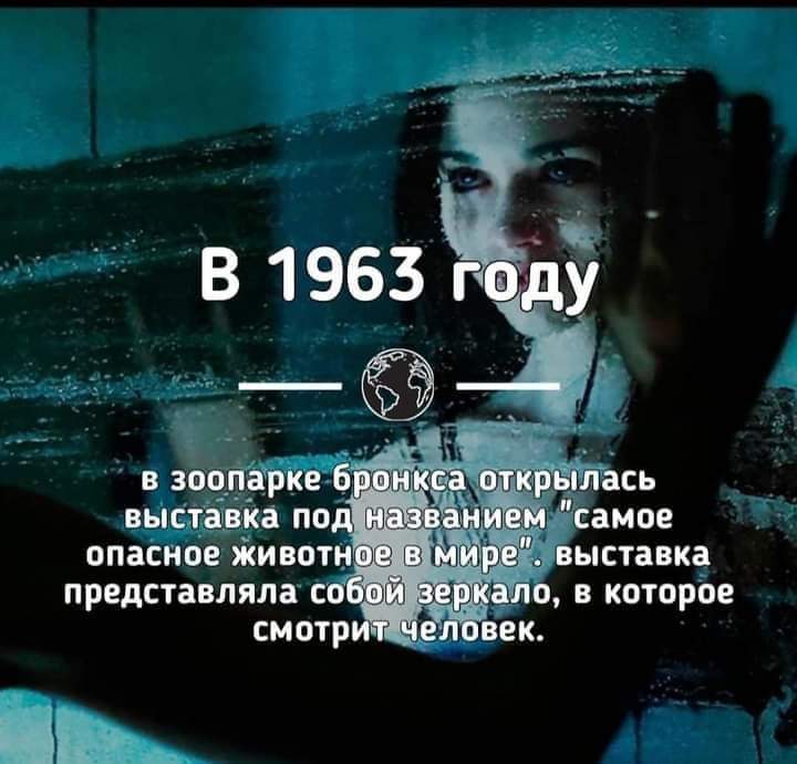 Так и есть.. как считаете? | Сетка — социальная сеть от hh.ru