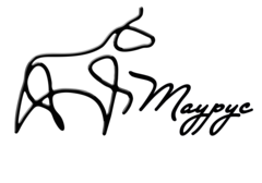 company logo