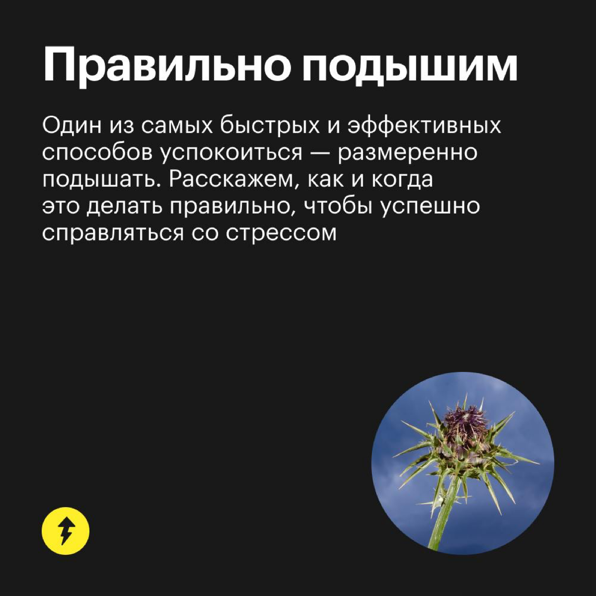 Как справляться со стрессом | Сетка — социальная сеть от hh.ru