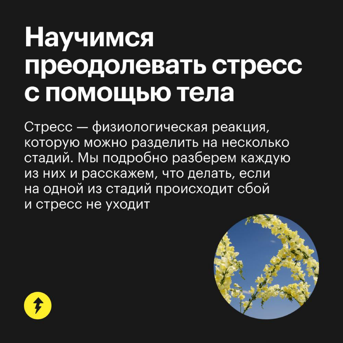Как справляться со стрессом | Сетка — социальная сеть от hh.ru