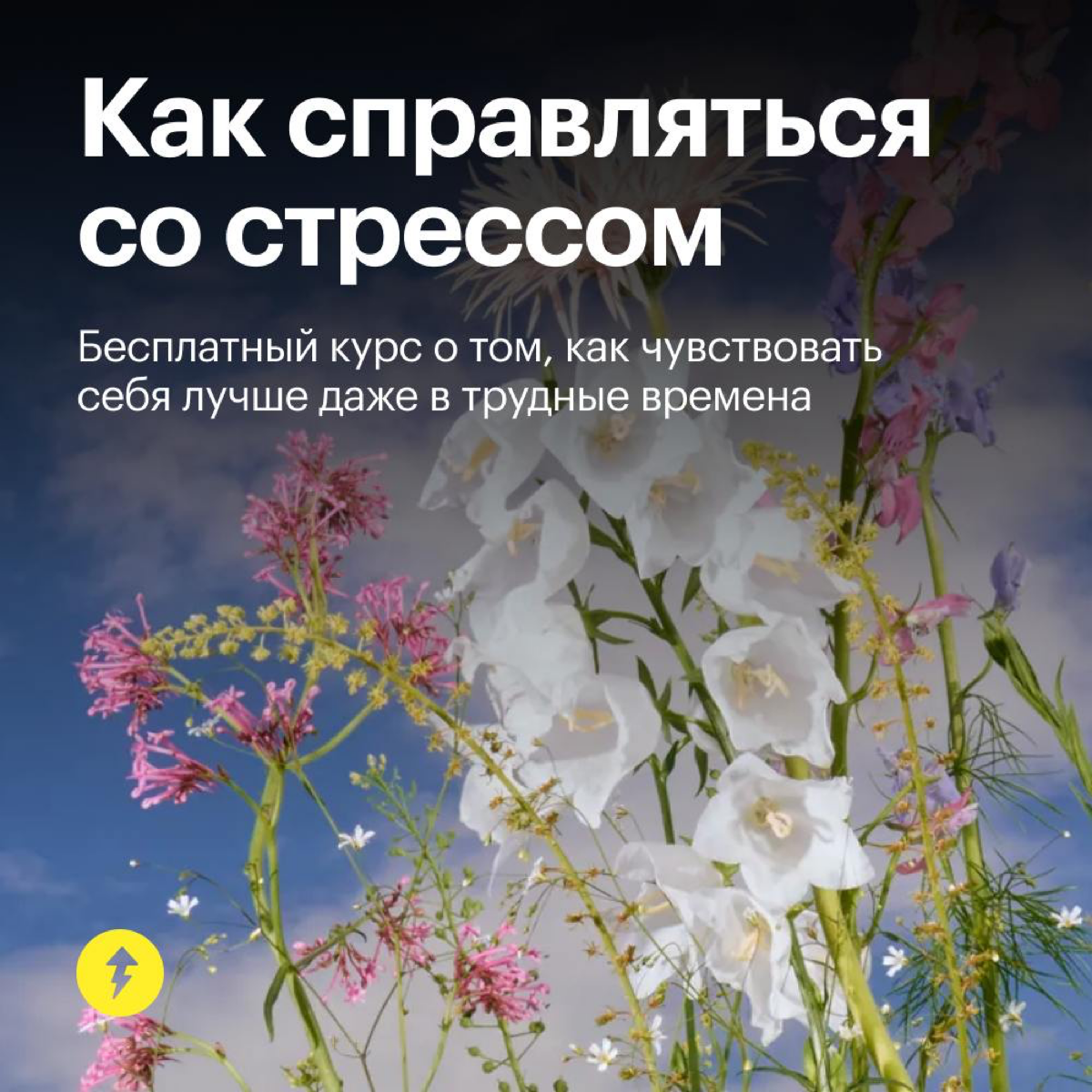 Как справляться со стрессом | Сетка — социальная сеть от hh.ru