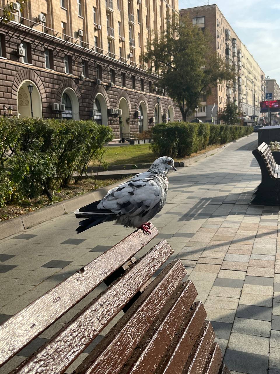 с Крониным пробуксовка, так как в романе - описание политической борьбы, а мне это как-то не интересно…
то есть это как раз тот случай, когда нужно взять себя в руки и предпринять усилия, чтобы дочита... | Сетка — социальная сеть от hh.ru
