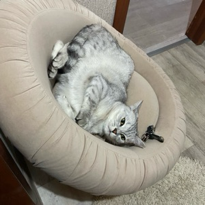 Надежда Замотина