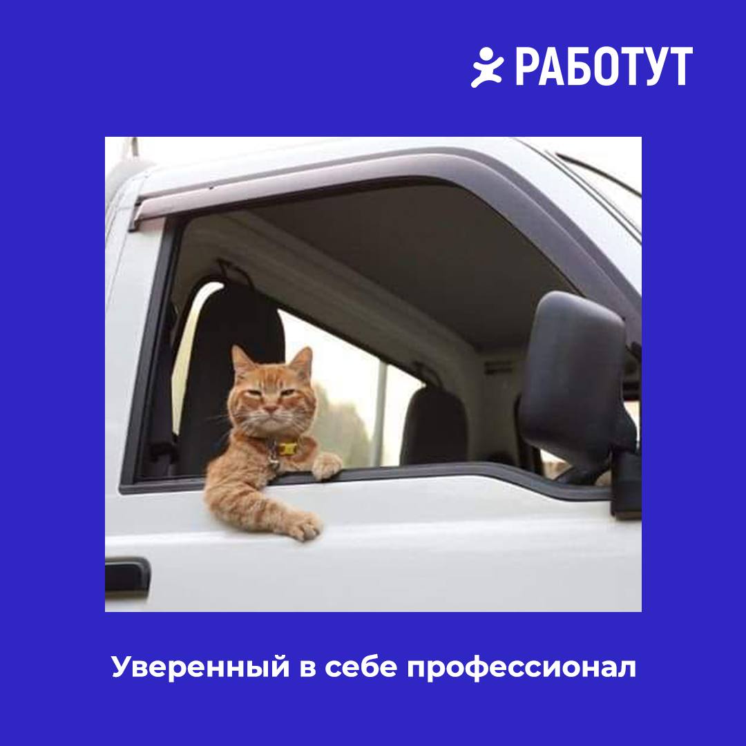 Задумались тут на днях о том, какими бывают водители на работе... И решили представить вам 5 типов наглядно😄 | Сетка — социальная сеть от hh.ru