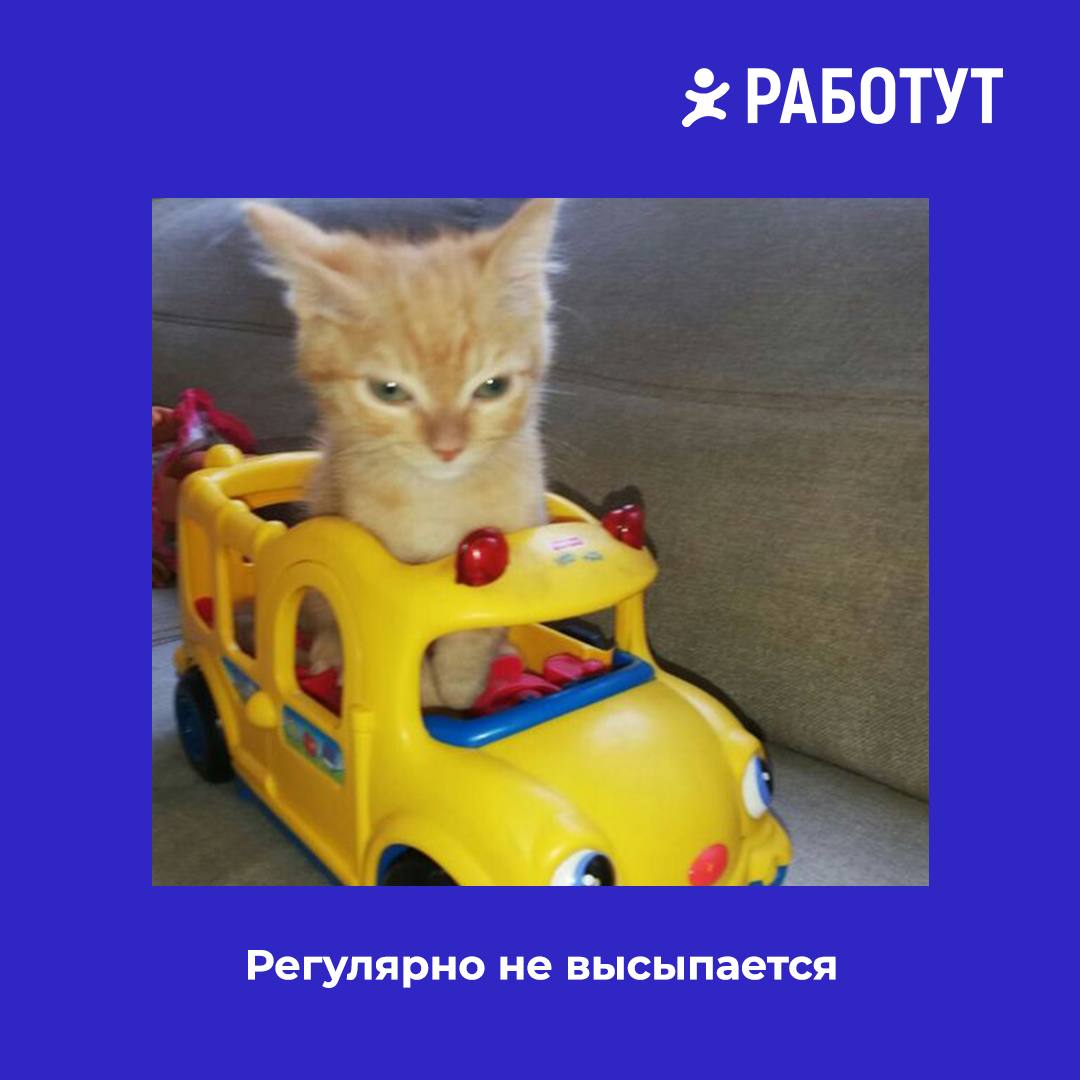 Задумались тут на днях о том, какими бывают водители на работе... И решили представить вам 5 типов наглядно😄 | Сетка — социальная сеть от hh.ru