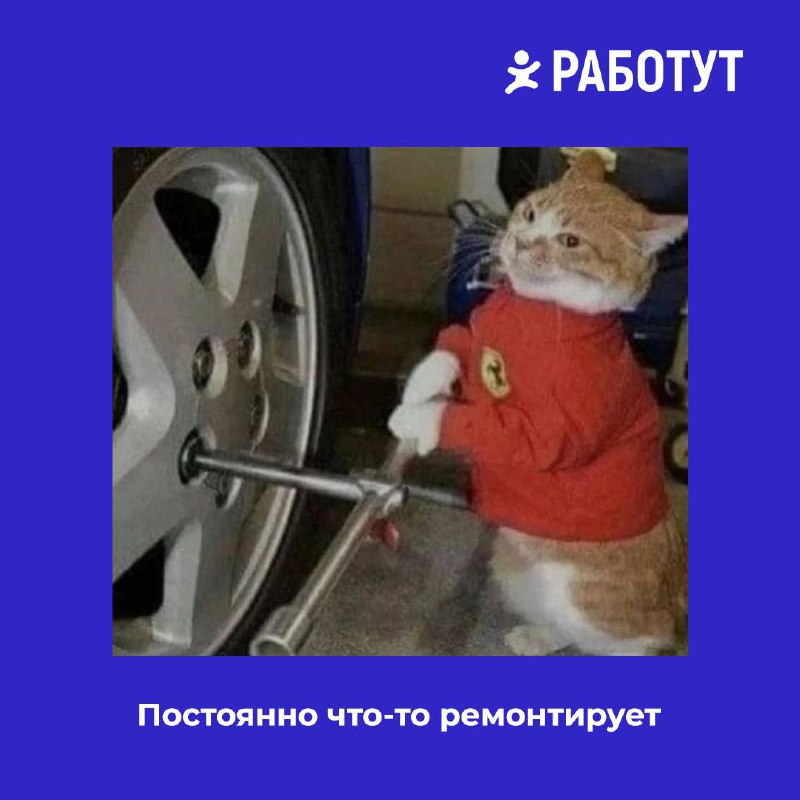 Задумались тут на днях о том, какими бывают водители на работе... И решили представить вам 5 типов наглядно😄 | Сетка — социальная сеть от hh.ru