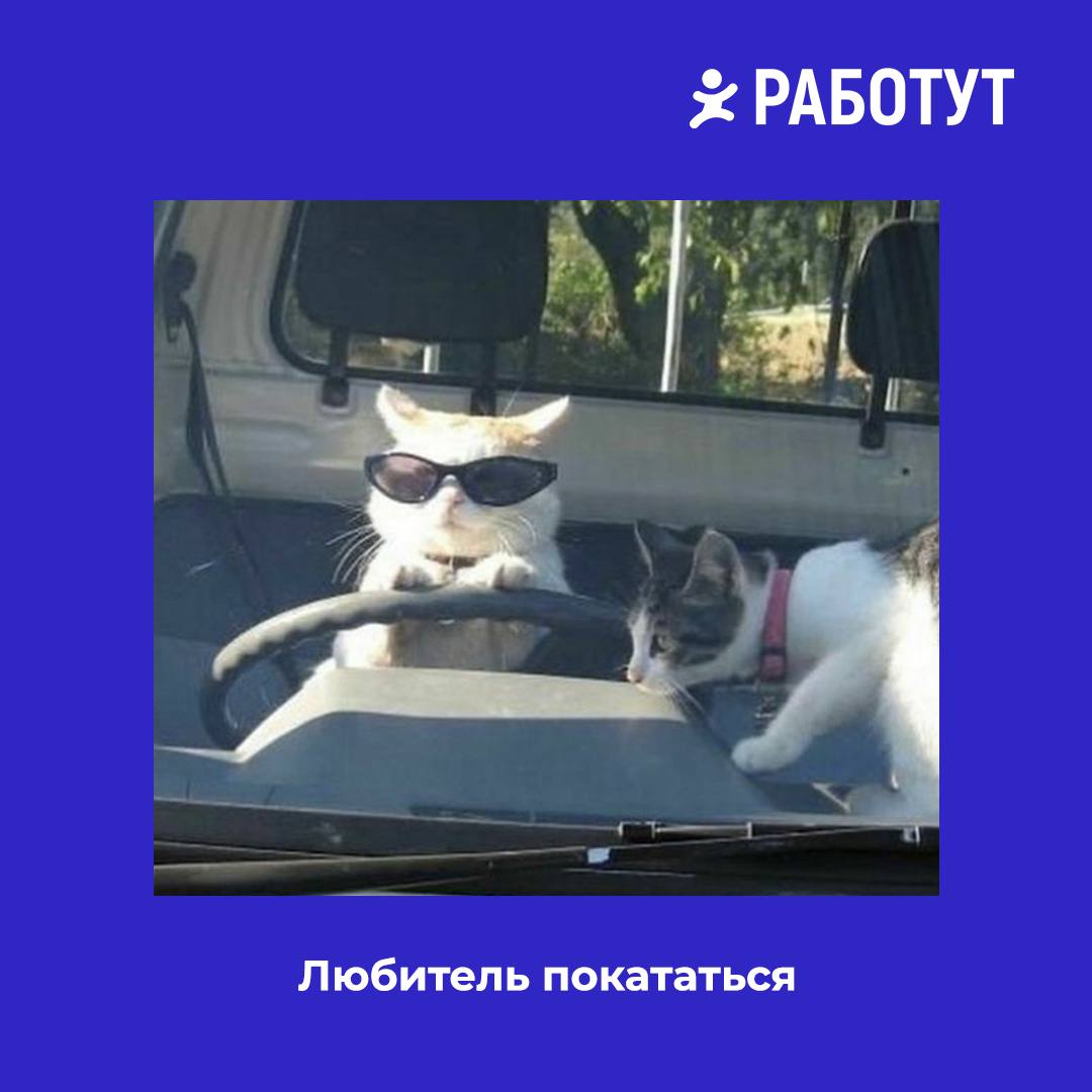 Задумались тут на днях о том, какими бывают водители на работе... И решили представить вам 5 типов наглядно😄 | Сетка — социальная сеть от hh.ru