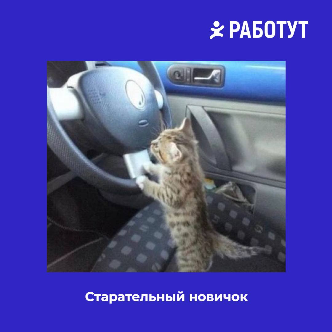 Задумались тут на днях о том, какими бывают водители на работе... И решили представить вам 5 типов наглядно😄 | Сетка — социальная сеть от hh.ru