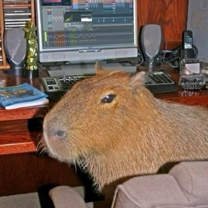 Ярослав Каширин | Сетка — социальная сеть от hh.ru