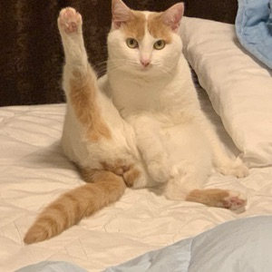 Андрей Кочев | Сетка — социальная сеть от hh.ru