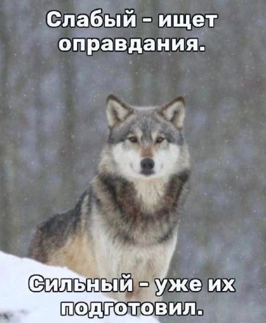 Настроение на мемчики ))
Все согласны, что мем продуктовый?) | Сетка — социальная сеть от hh.ru