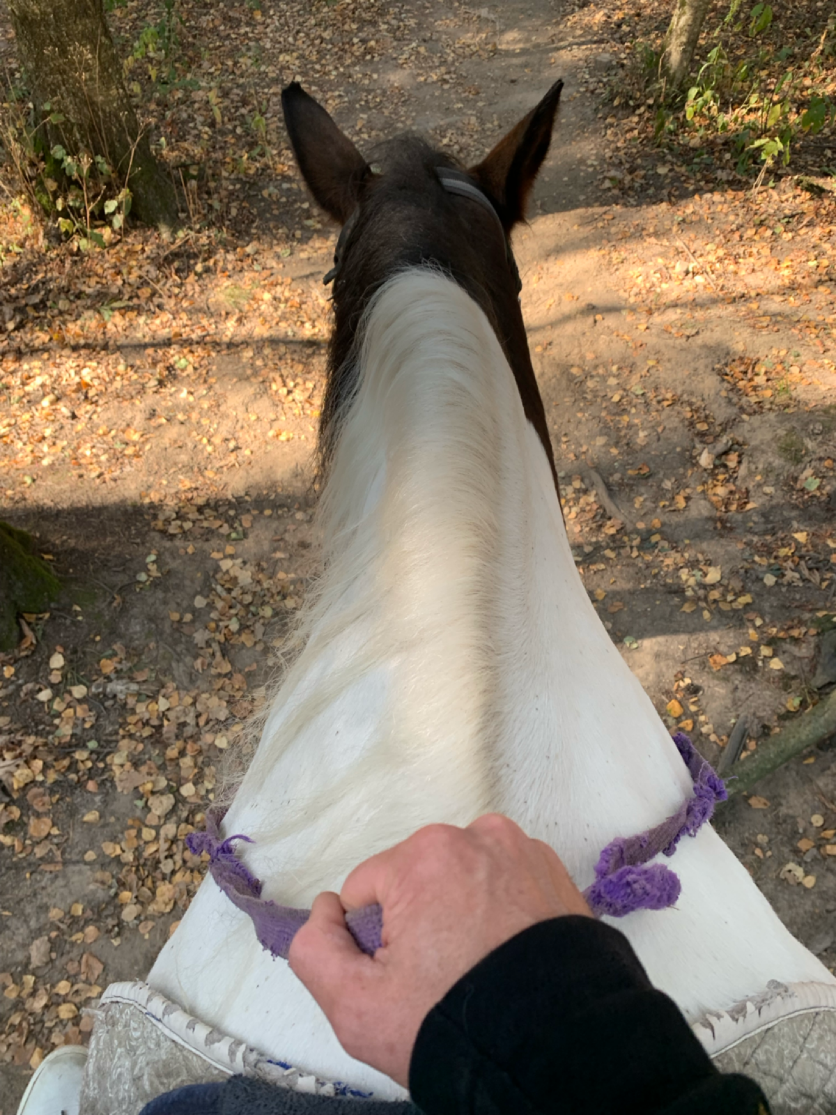 Удобства земной цивилизации степенно умножаются. А лампочка Ильича всё также тускло и верно освещает темную парадную | Сетка — социальная сеть от hh.ru