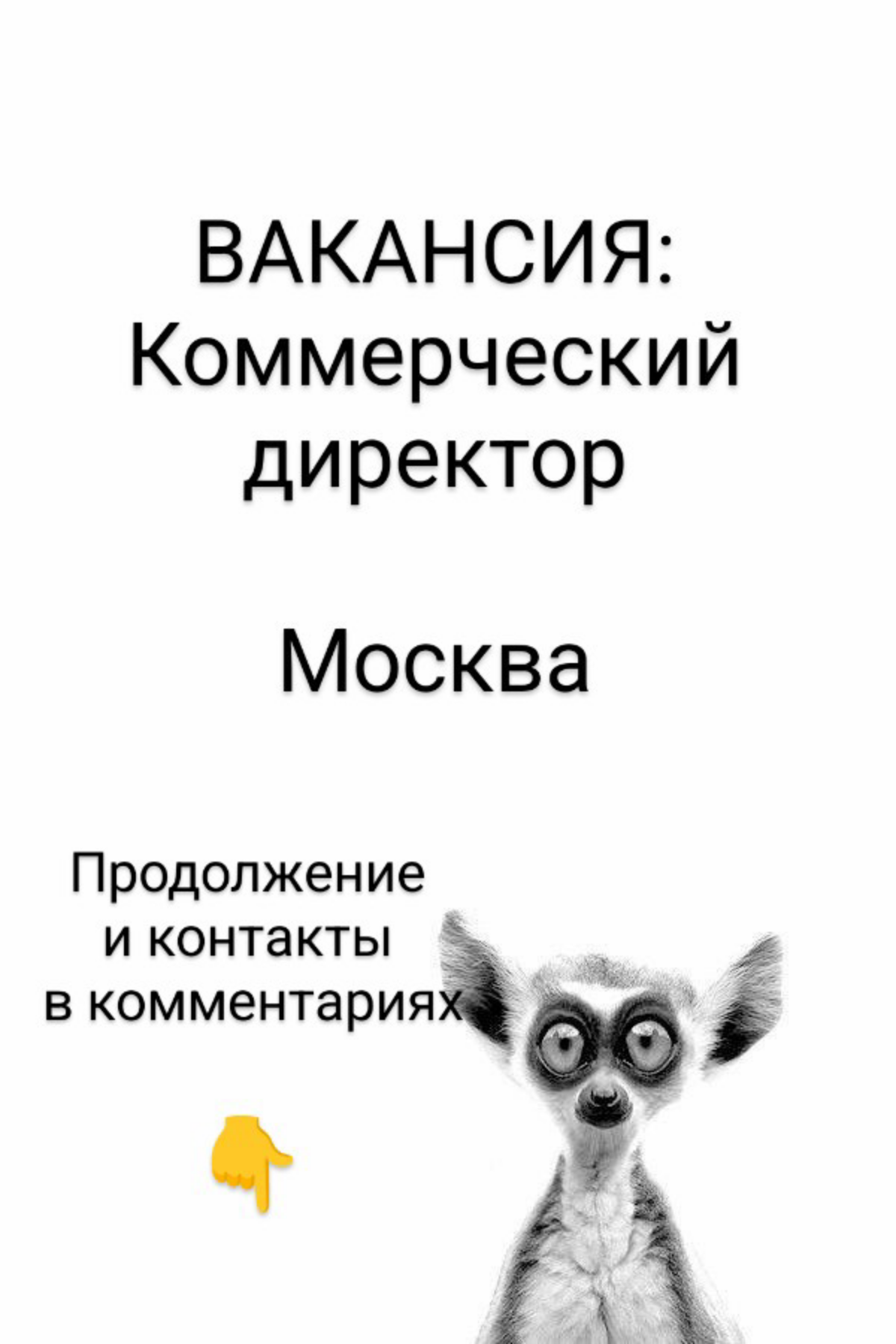 ВАКАНСИЯ: Коммерческий директор
КОМПАНИЯ: ООО Вай Тай - федеральная сеть салонов тайского СПА с премиальным сервисом «Вай Тай» | Сетка — социальная сеть от hh.ru