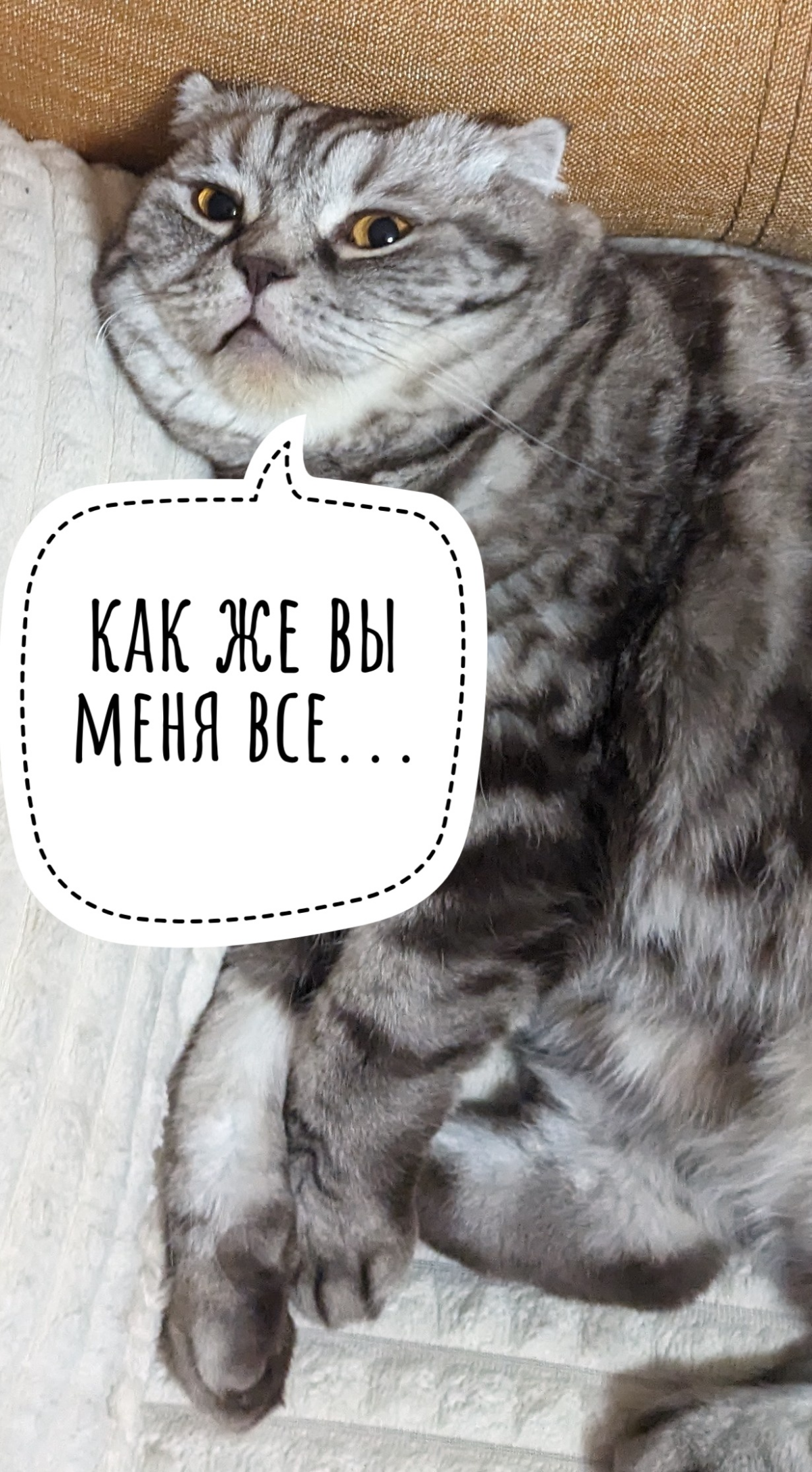 🐾 Почему ваш офис — это зоопарк: разбор типичных "животных" | Сетка — социальная сеть от hh.ru