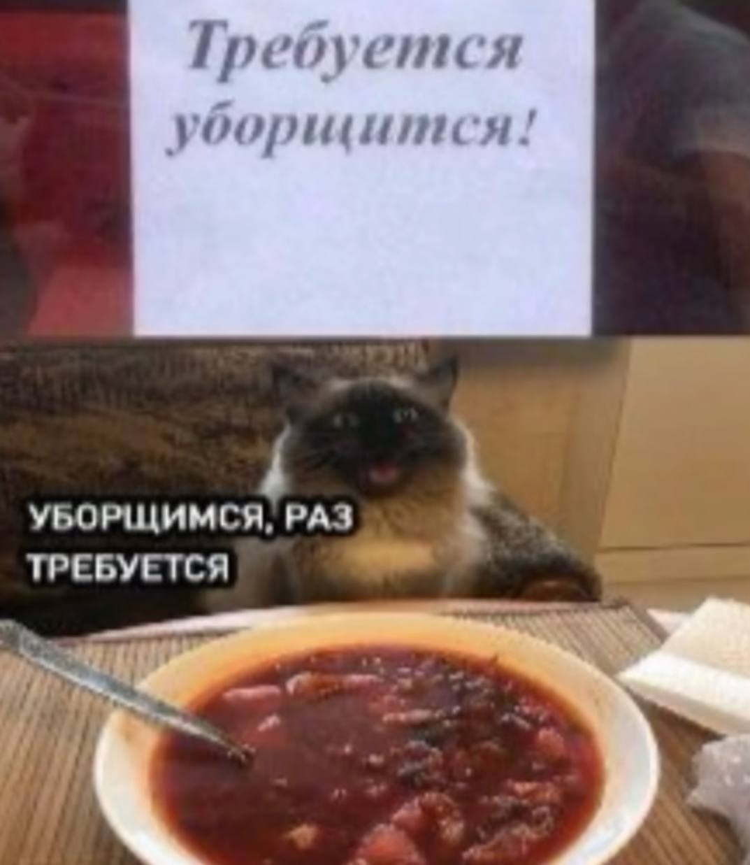 Если я лягу спать, то меня через два часа даже трактор не разбудит
Поэтому вот вам мемы на утро | Сетка — социальная сеть от hh.ru