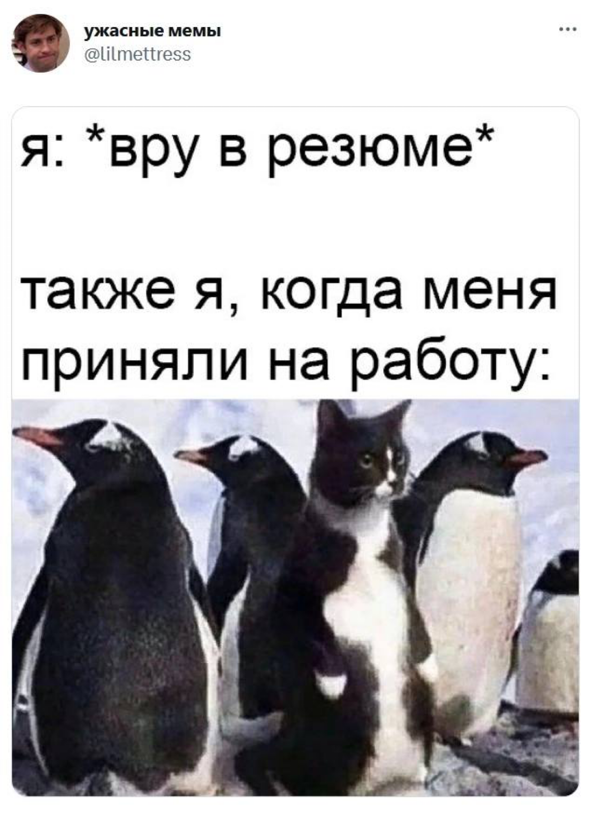 Сетка — социальная сеть от hh.ru