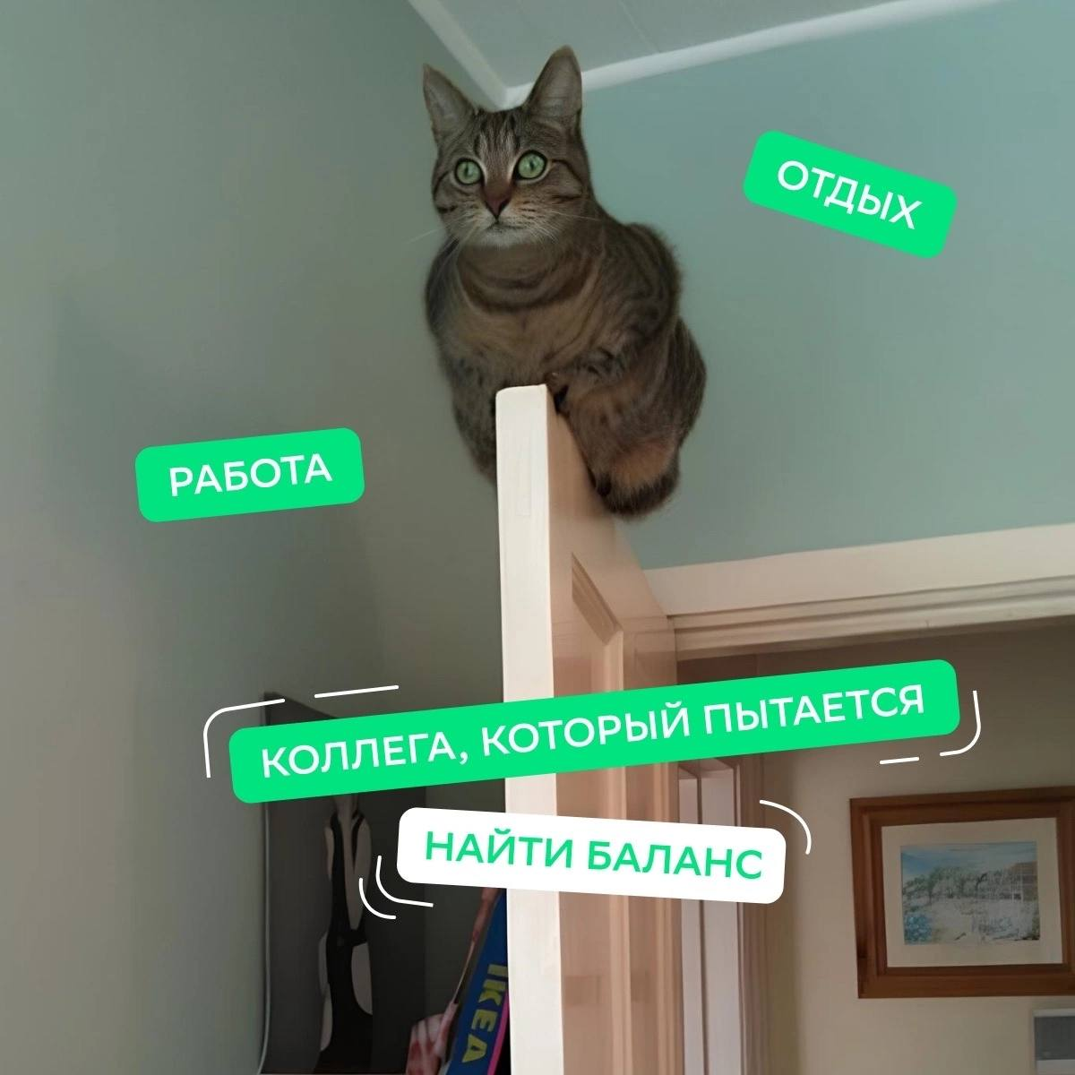 Сегодня только ворк
У меня нет ворк, поэтому живу лучшую лайф!
Пиши в комментариях, к какому типу относишься ты, и будь всегда в ресурсе. | Сетка — социальная сеть от hh.ru