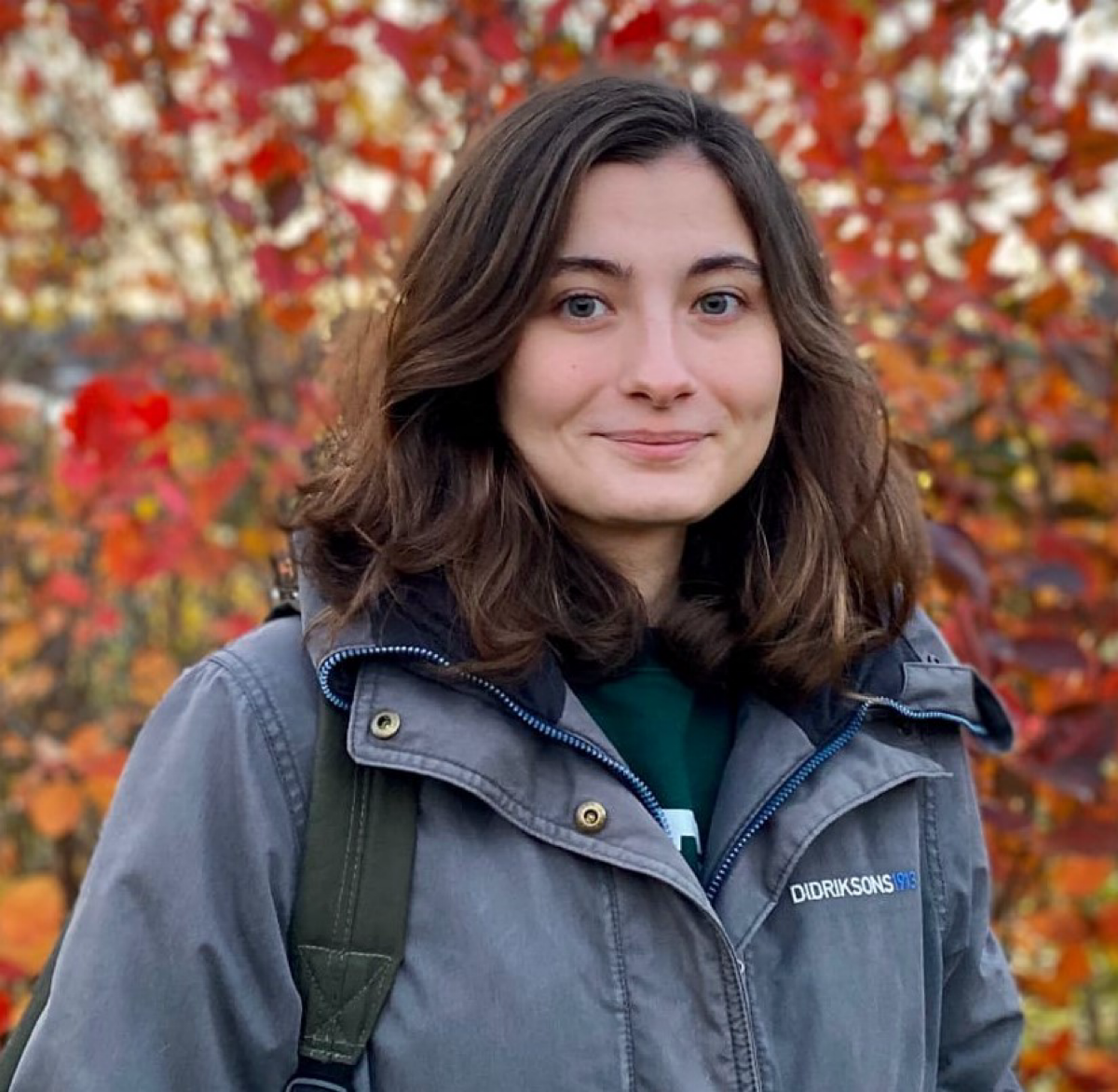 Элиза Шардина | Сетка — социальная сеть от hh.ru