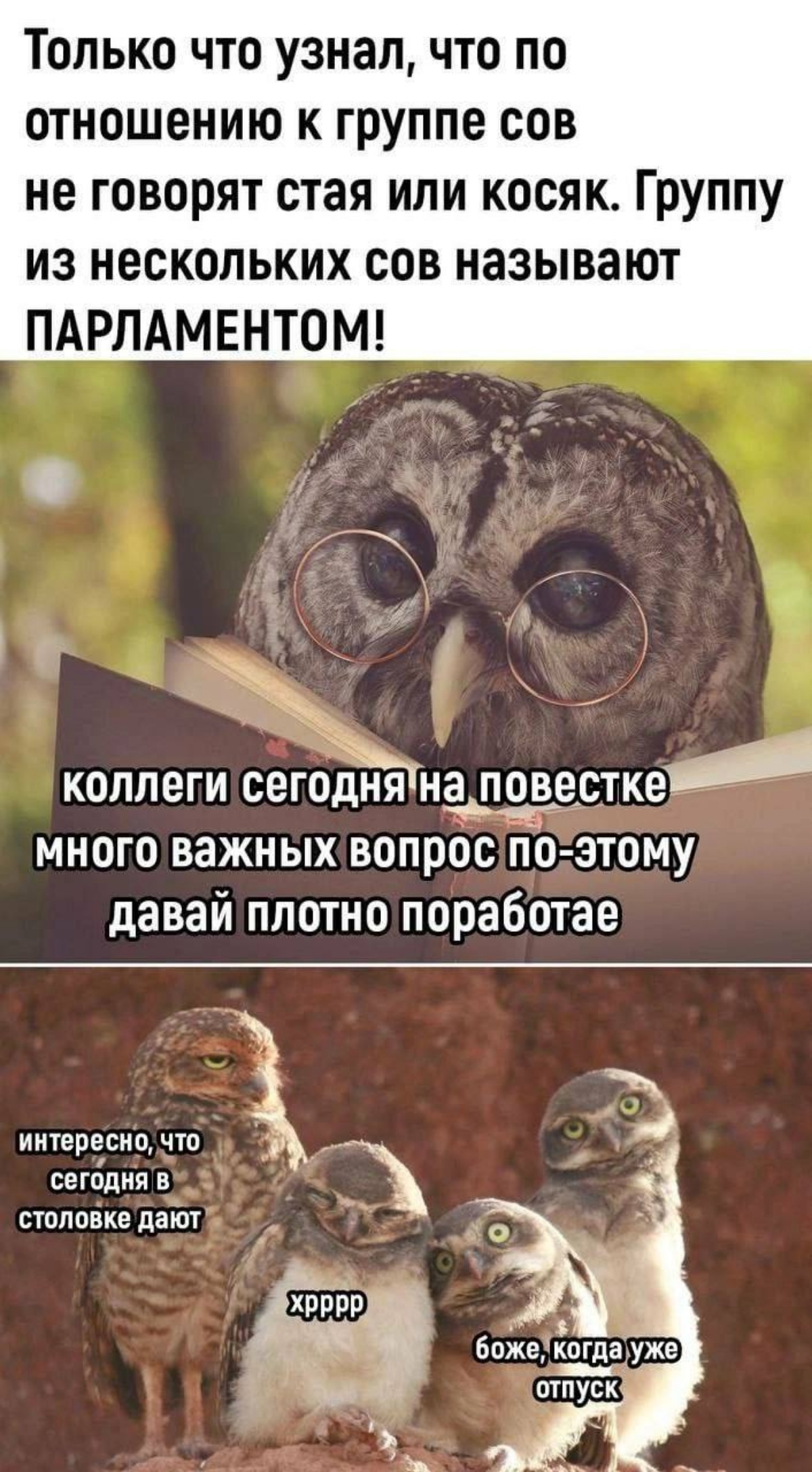 Сетка — социальная сеть от hh.ru