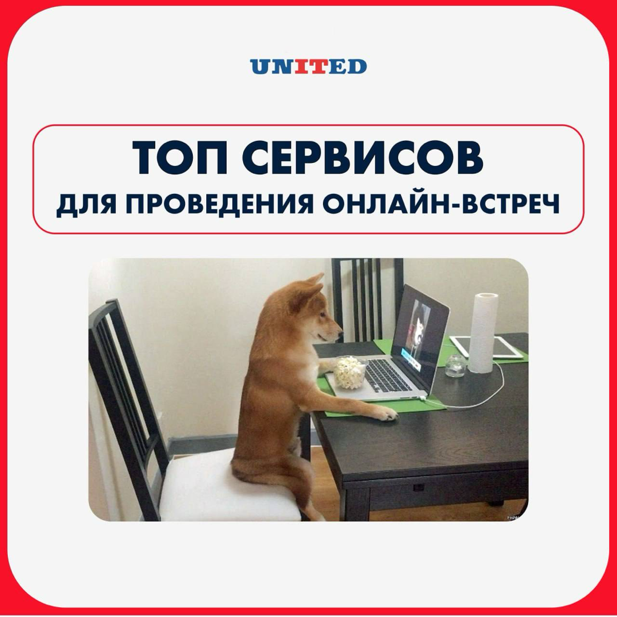 Топ-4 сервиса для проведения видеоконференций | Сетка — социальная сеть от hh.ru