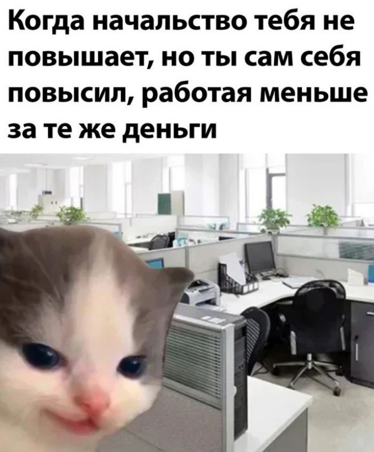 Сетка — социальная сеть от hh.ru