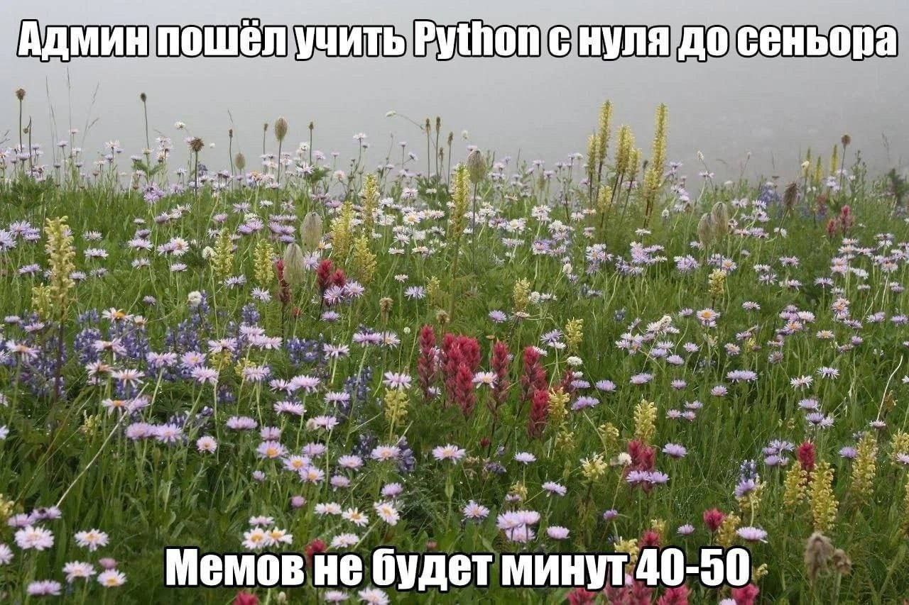 ➡️ отправь коллеге мем в телеге | Сетка — социальная сеть от hh.ru