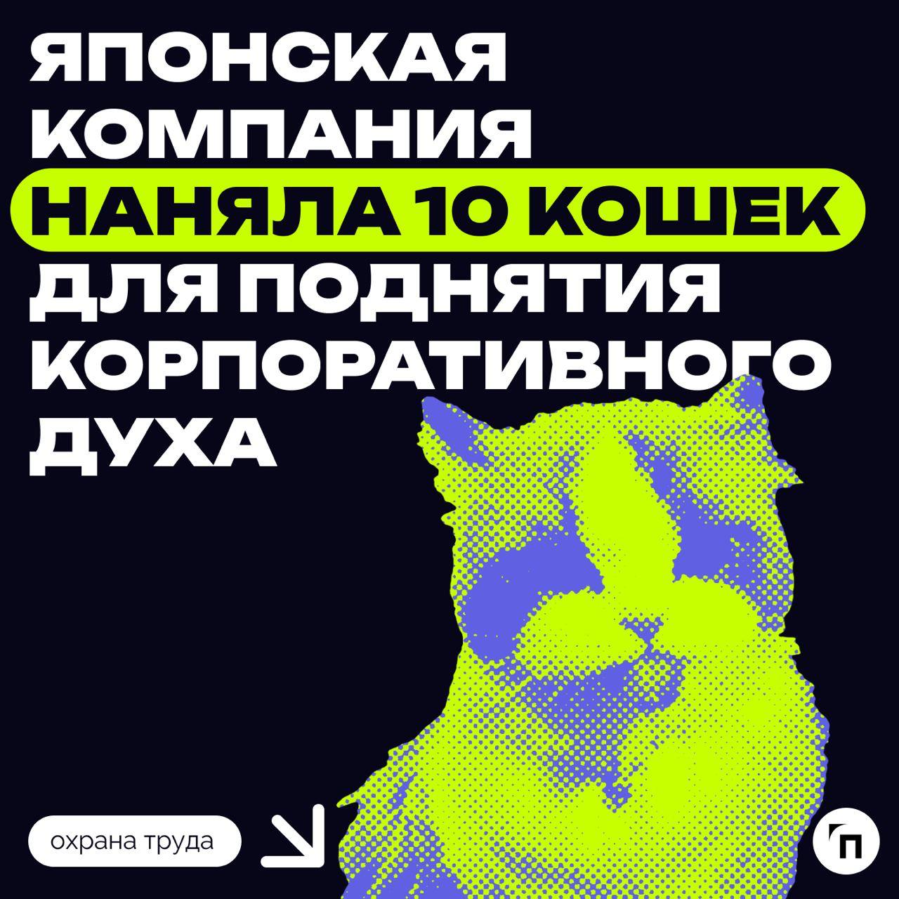🫡 Японская компания наняла кошек для поднятия корпоративного духа
Японская компания Qnote решила подойти к вопросу мотивации сотрудников нестандартно и приняла на работу 10 кошек | Сетка — социальная сеть от hh.ru